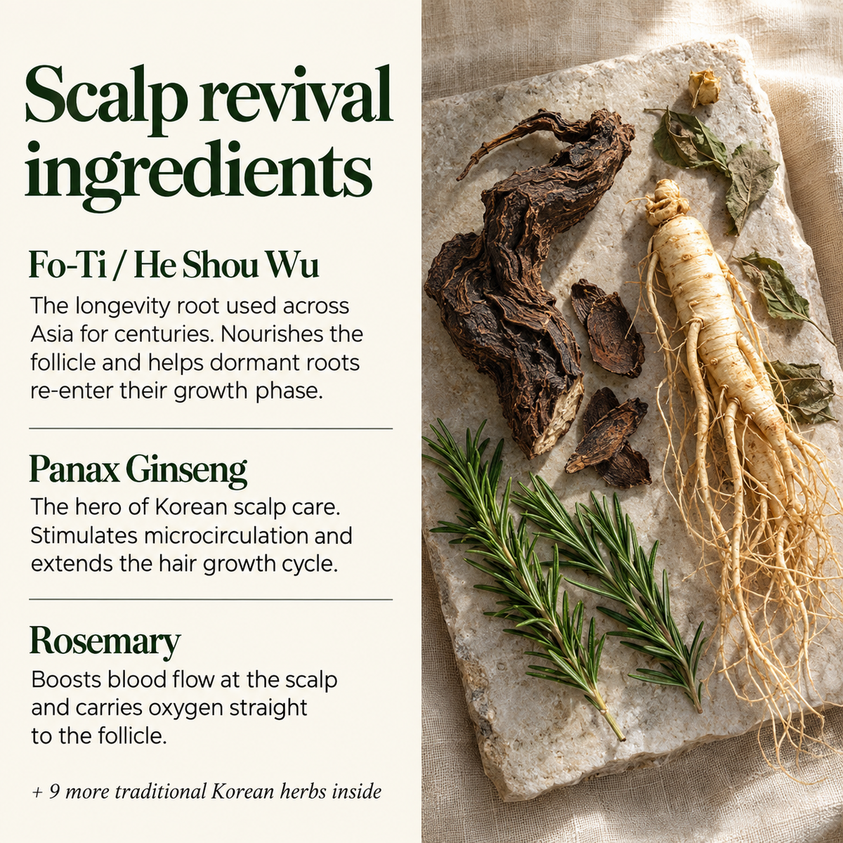 Korean Scalp Ritual Bar